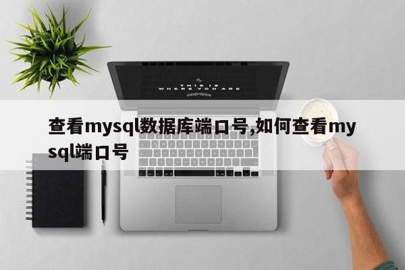 查询mysql端口_查询端口