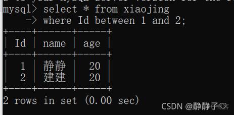 cmd启动mysql_容器启动命令