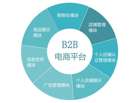 b2b网站开发_运营商B2B业务