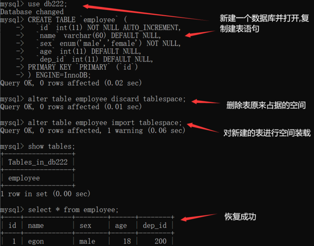 查看mysql数据库的建表语句_查看建表语句