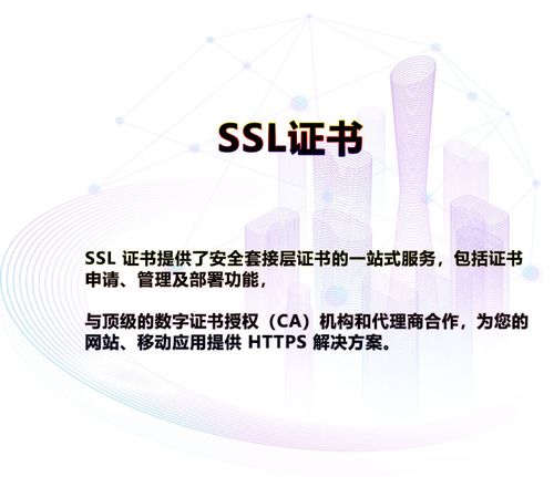 ssl证书类型有哪些？