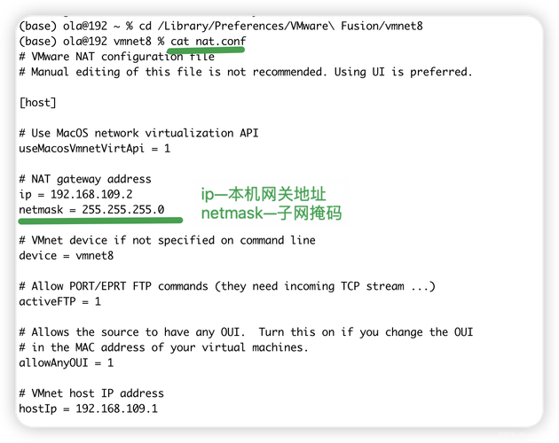 centos 配置dhcp服务器_Linux实例IP地址丢失怎么办？