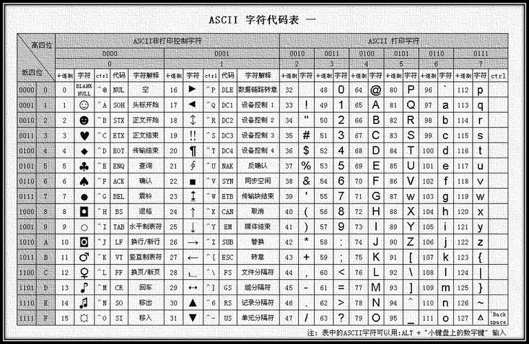 编码hibernatejavassist_编码辅助