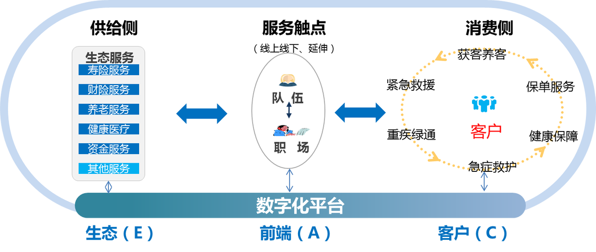 以主机租用服务，规划数字化转型