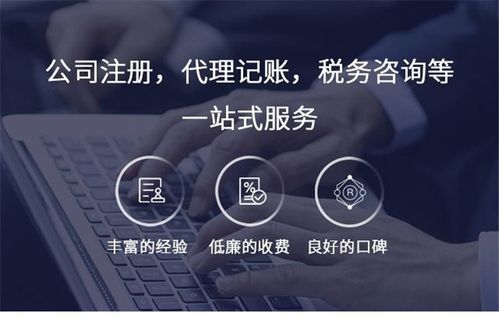 报税公司_公司管理