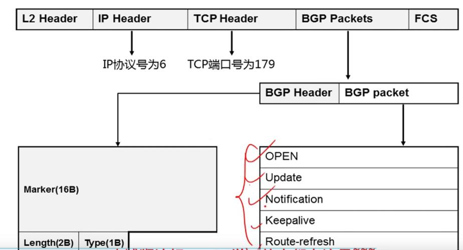 bgp双线虚拟主机_静态BGP、全动态BGP、优选BGP之间有何区别？