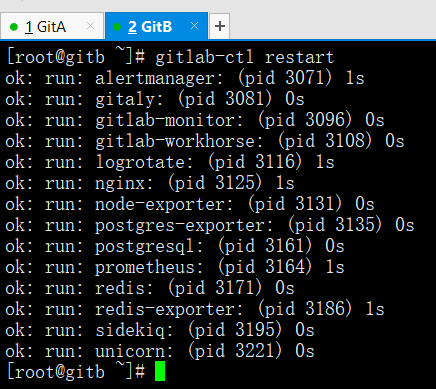 备份git代码仓库_上传代码到Gitlab代码仓库