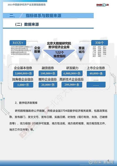 北京大数据研究_新建研究