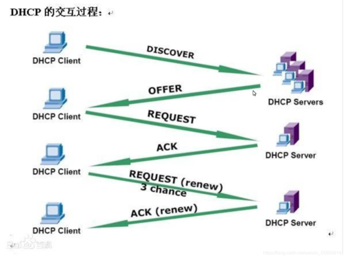 dhcp服务器的作用是什么？