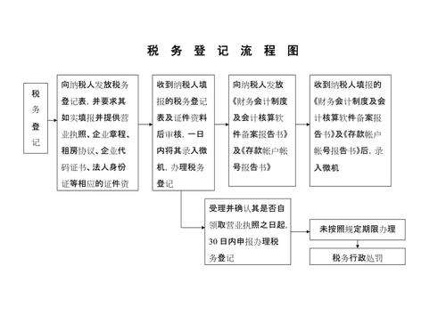 办理税务登记手续_方案概述