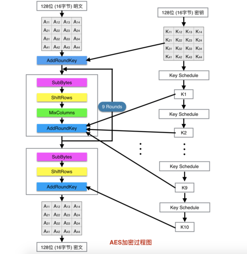 aes加密算法_AES