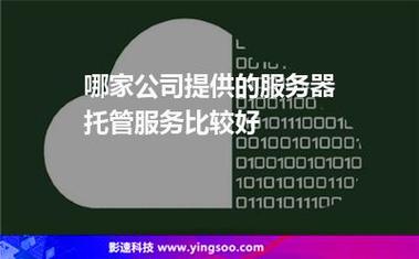 服务器托管提供商可以提供哪些服务？