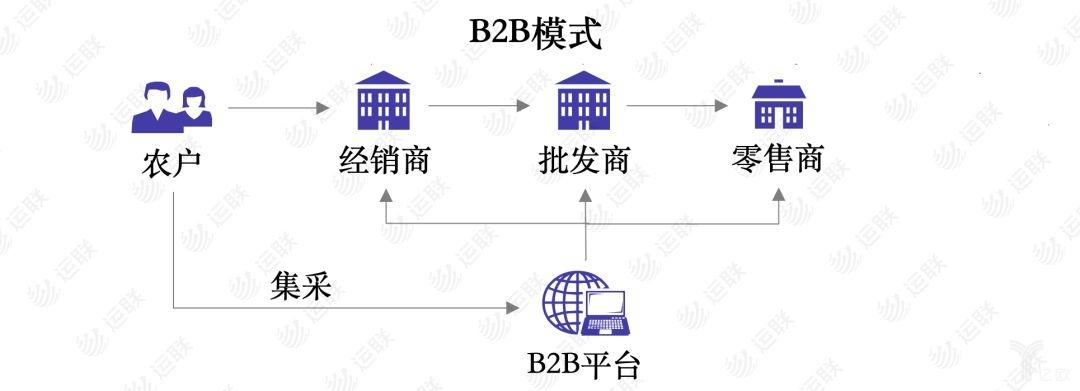 b2b网站规划_运营商B2B业务