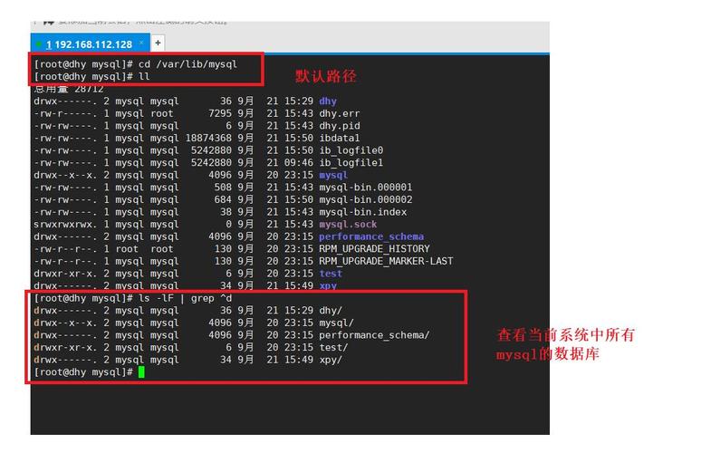 查询mysql服务器配置_MySQL配置