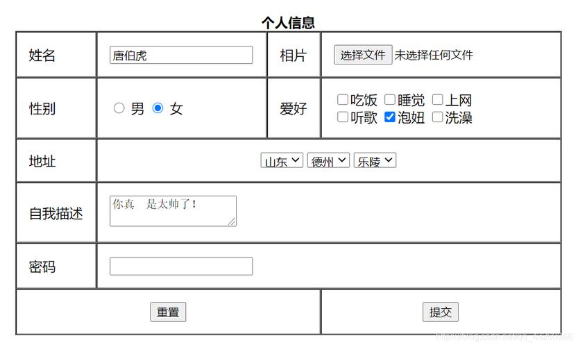 表单html_HTML输入