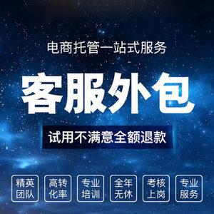 标准版网站制作_客户服务包