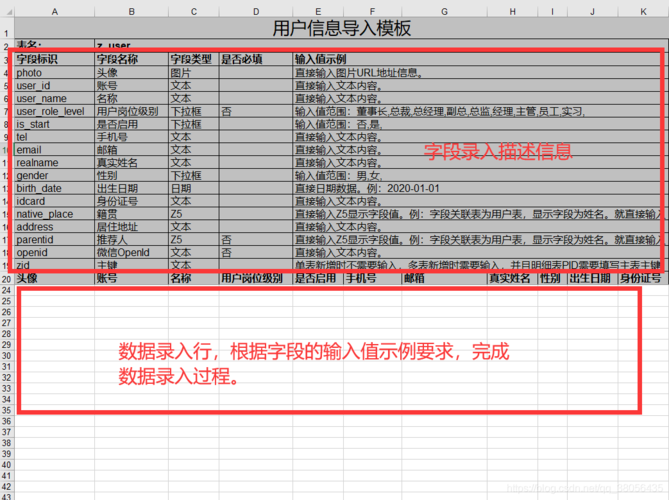 把数据库数据导出到excel_通过Excel导入数据