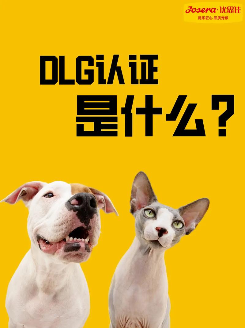 DLG简介_准备工作1：授权dlg