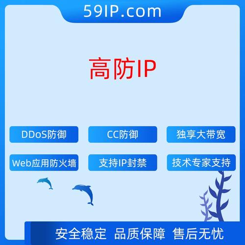 DDoS高防修改源站IP_什么是DDoS高防源站IP？