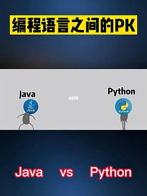大数据编程python语言_其他编程语言