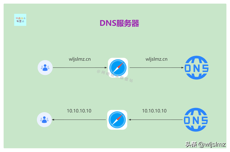 dns看国外网站_DNS