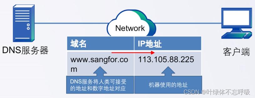 dns看国外网站_DNS