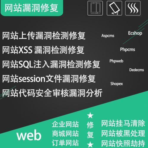 广州网站设计专业_漏洞管理服务