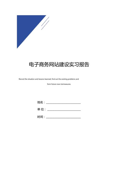 电子商务网站建设报告_网站报告管理