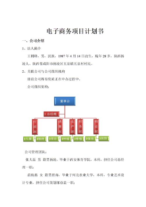 电子商务网站建设规划书范文_微服务专家服务