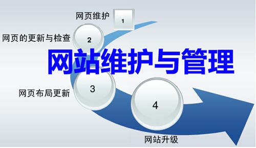 公司的网站建设与维护_安装与维护