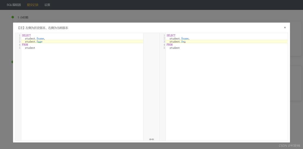 gsql 用什么文本编辑软件_文本编辑