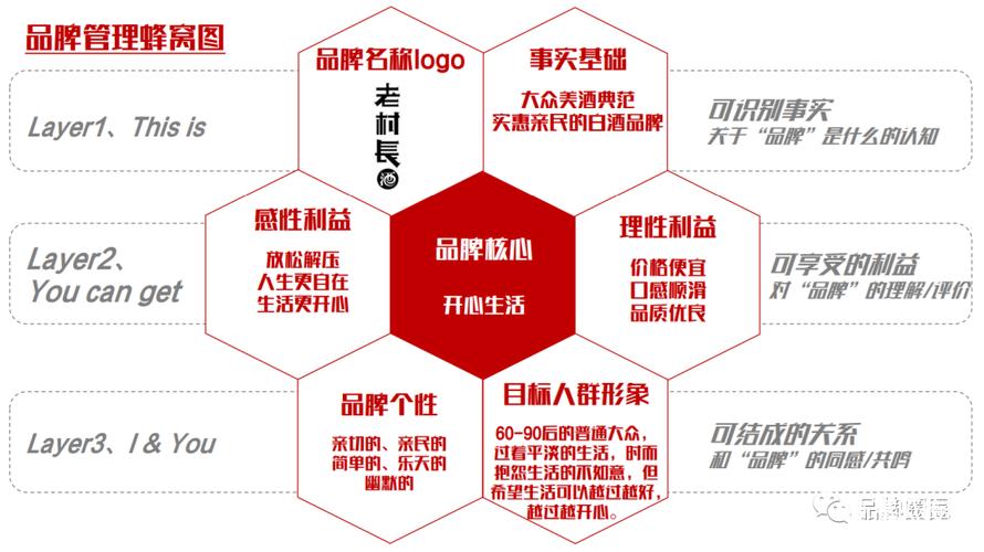 高端品牌网站建设方案_定制双品牌