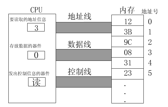 动态网站开发语言_动态修改系统语言