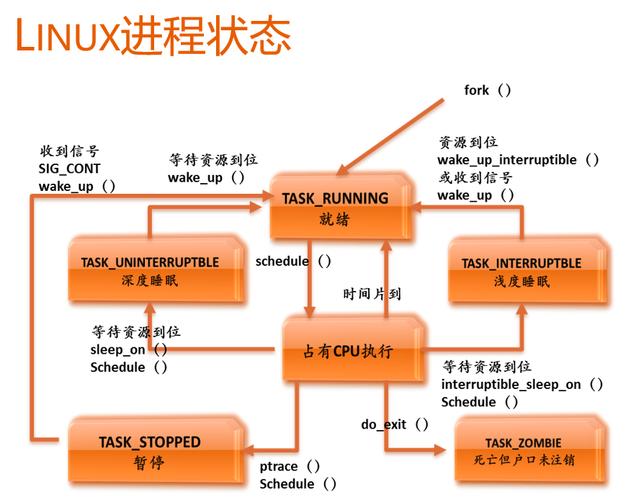 理解Linux的进程状态 _需求理解