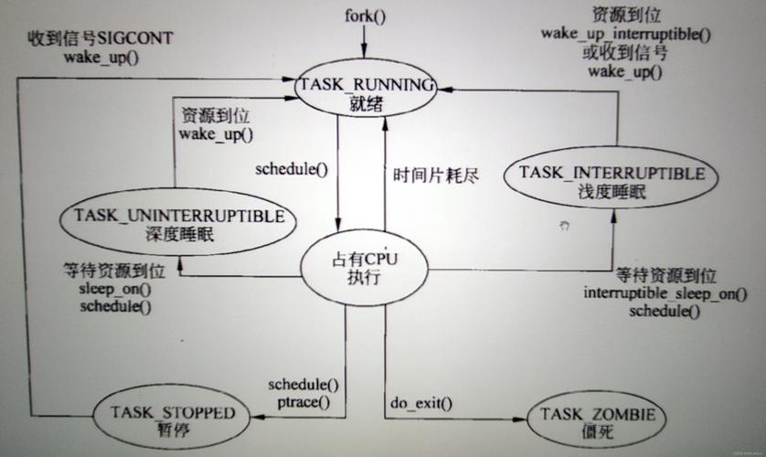 理解Linux的进程状态 _需求理解