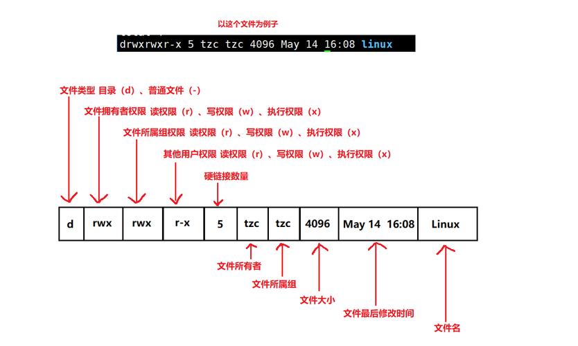 linux用户权限_用户权限