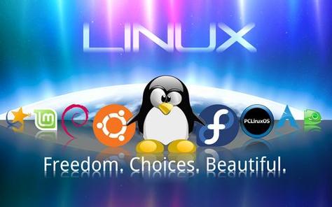 linux ipcs _Linux