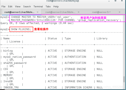 linux mysql 复制数据库_复制数据库