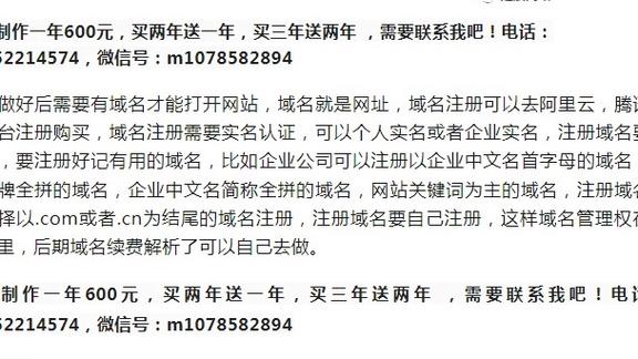 廊坊做网站外包_域名准入要求