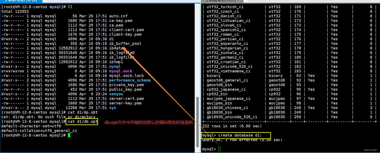 linux 创建mysql数据库用户_创建数据库用户