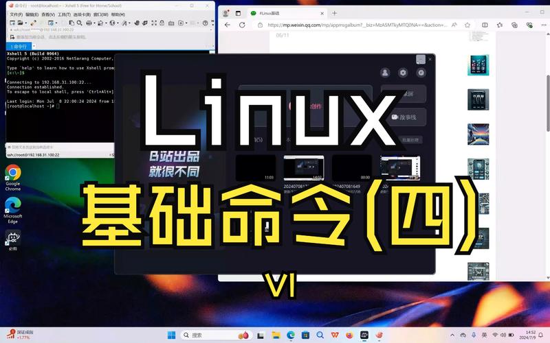 linux更新命令_写入/更新命令