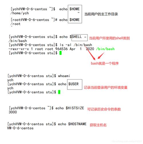 linux环境变量_环境变量