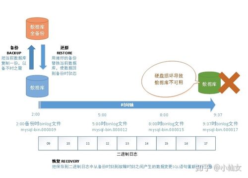 linux mysql 定期备份数据库_通过数据备份开展定期恢复演练