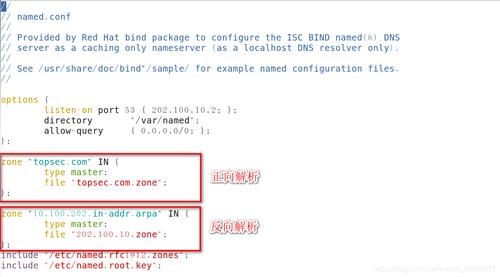linux 域名解析bind_域名解析设置