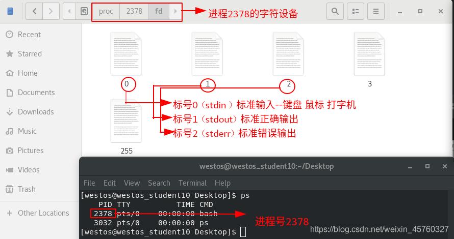 linux监控输入输出脚本_输入输出