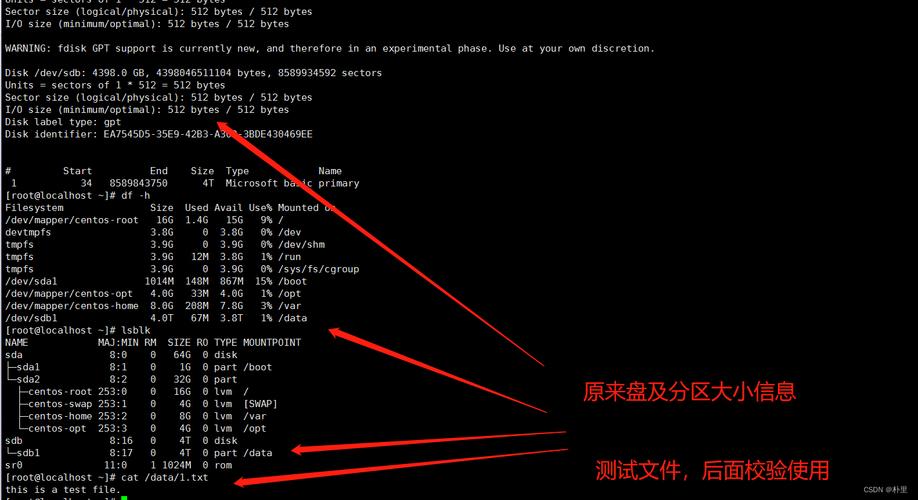 linux服务器 切换磁盘_Linux磁盘扩容后处理（parted）