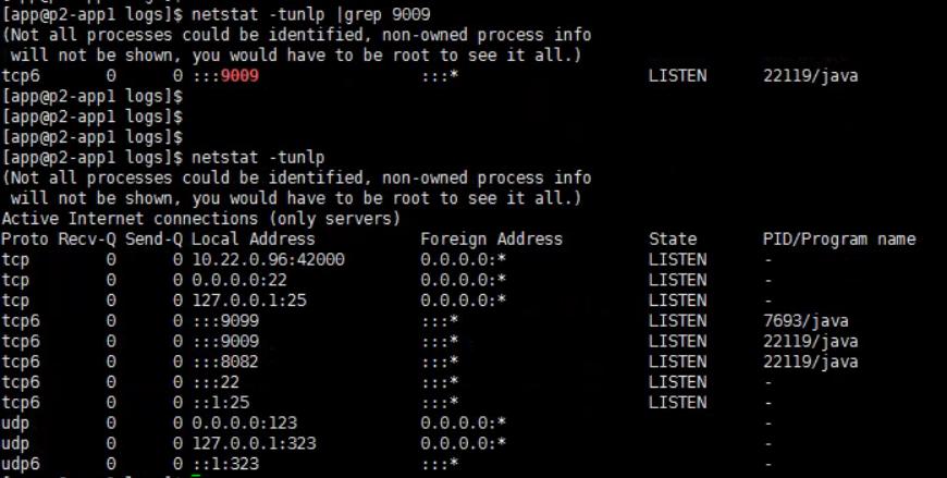 linux查询网络占用_查询网络