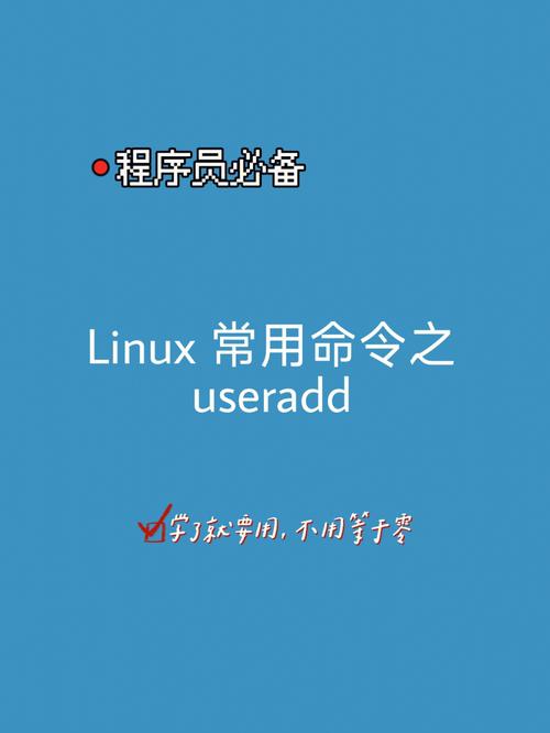 linux创建新账号 _创建主题(新)