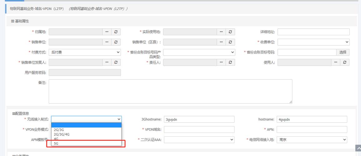 l2tp客户端服务器域名_域名注册