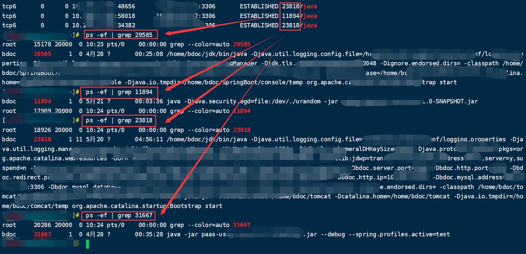 Linux数据库连接数查询_数据库连接数